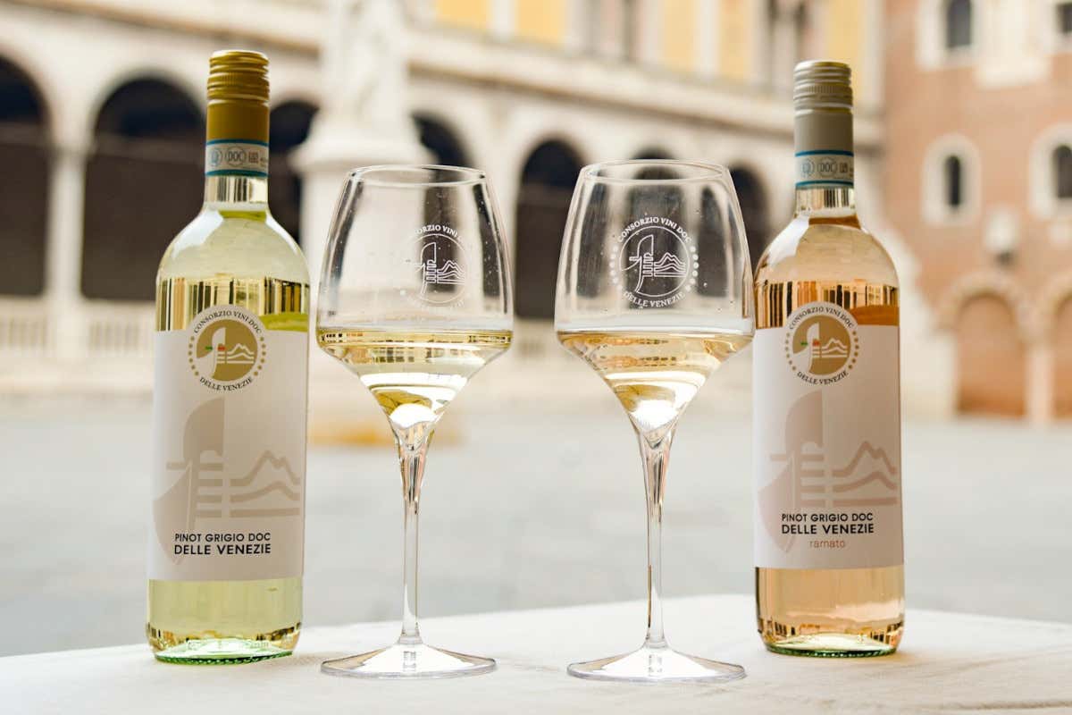 Doc Delle Venezie: contrassegno di Stato digitale per la tracciabilità del vino Doc Delle Venezie: contrassegno di Stato digitale per la tracciabilità del vino
