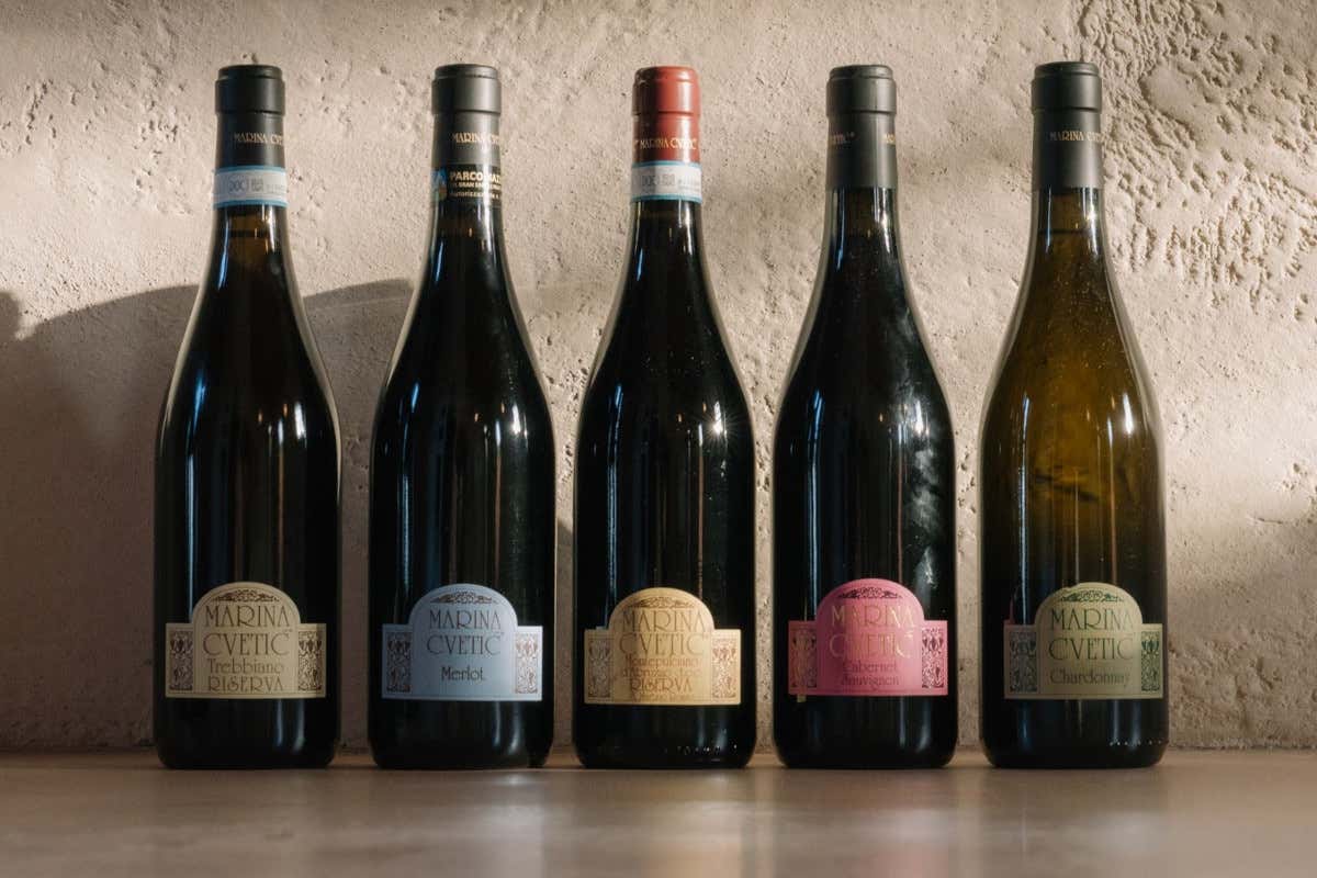 Il ritorno degli “Abruzzi” nel calice: il territorio raccontato attraverso i vini Masciarelli