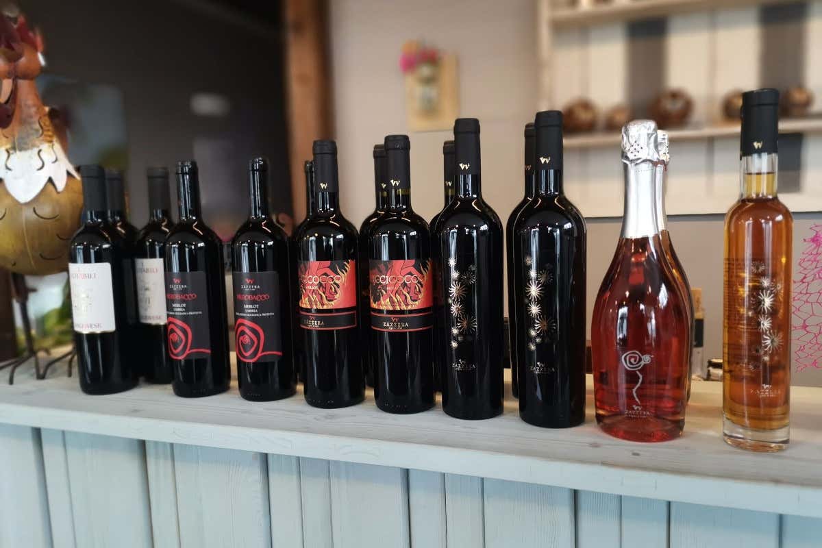 Alcuni vini di Cantina Zazzera