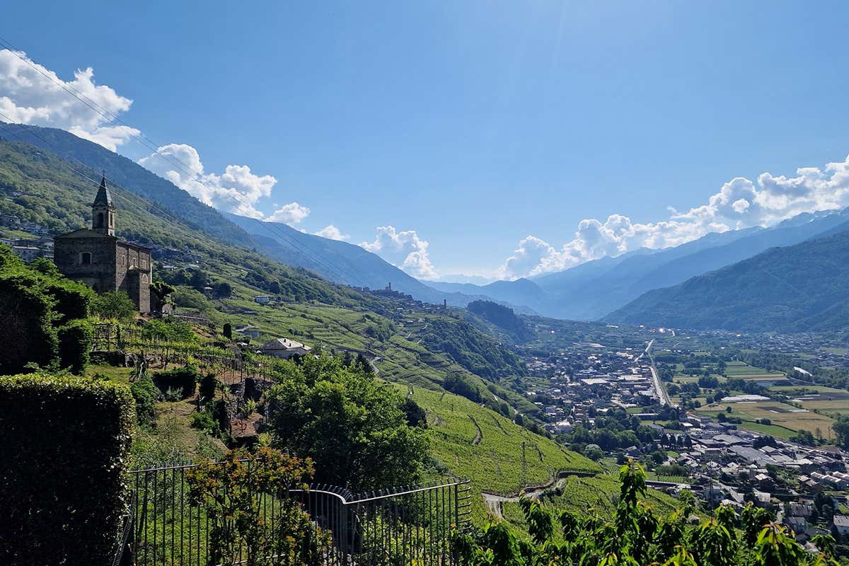 Ai piedi dei costoni della Valmalenco, la famiglia Pelizzatti Perego custodisce la tradizione del Nebbiolo
