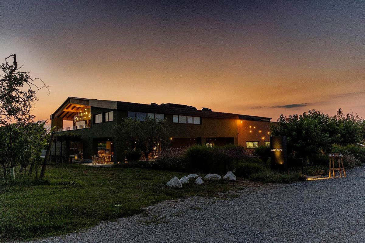 La cantina della Famiglia Olivini a San Martino della Battaglia, cuore produttivo del Lugana