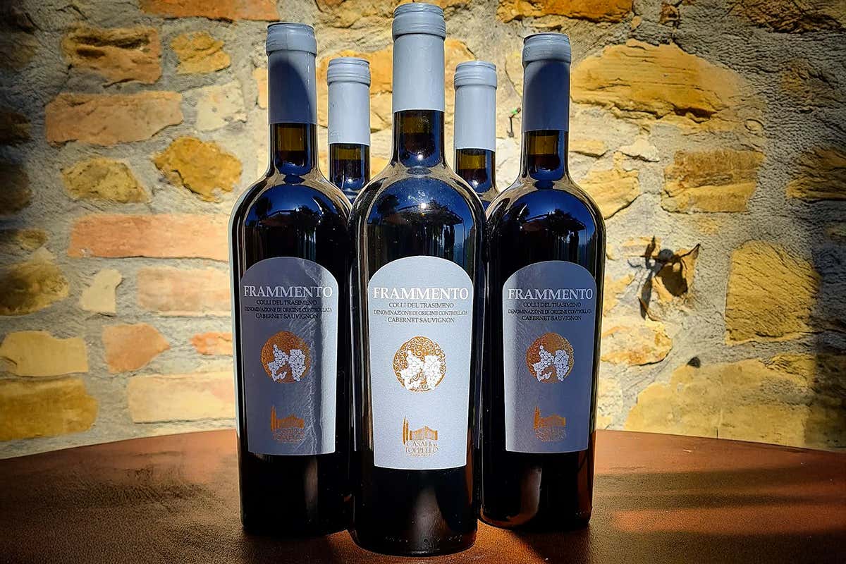 Frammento Doc Colli del Trasimeno Cabernet Sauvignon