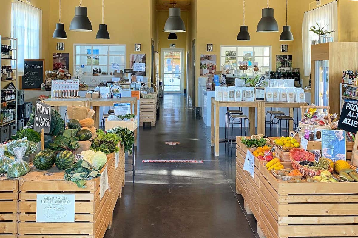 Da Il Cerreto puoi dormire in una torre del 1250 immerso nella campagna Toscana Da Il Cerreto puoi dormire in una torre del 1250 immerso nella campagna Toscana