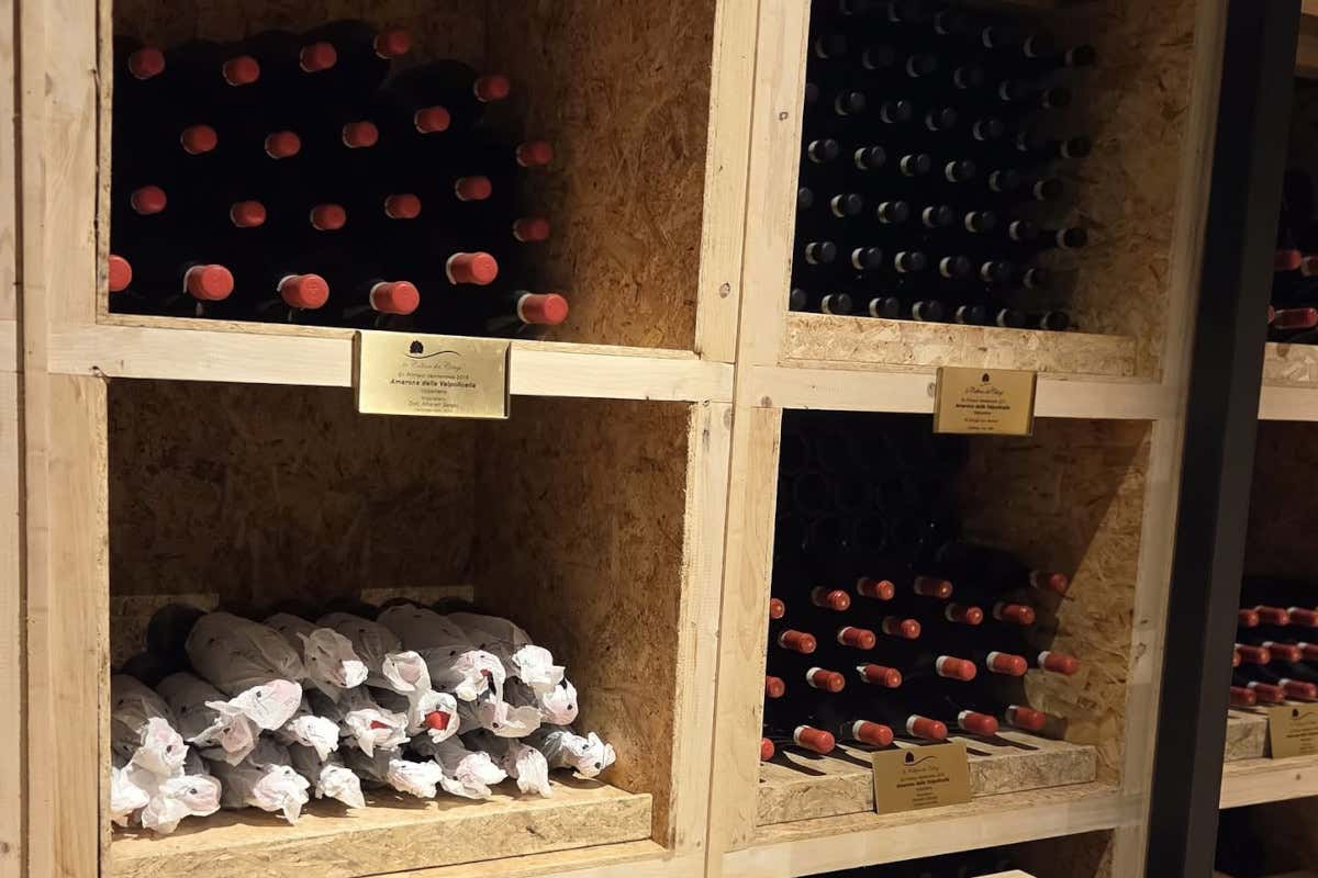 Valpolicella: produzione stabile, bottiglie in calo e investimenti sulla promozione