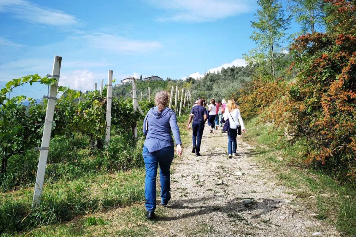 Il Weekend Aromatico raddoppia e diventa itinerante: il Moscato di Scanzo arriva ad Astino Il Weekend Aromatico raddoppia e diventa itinerante: il Moscato di Scanzo arriva ad Astino