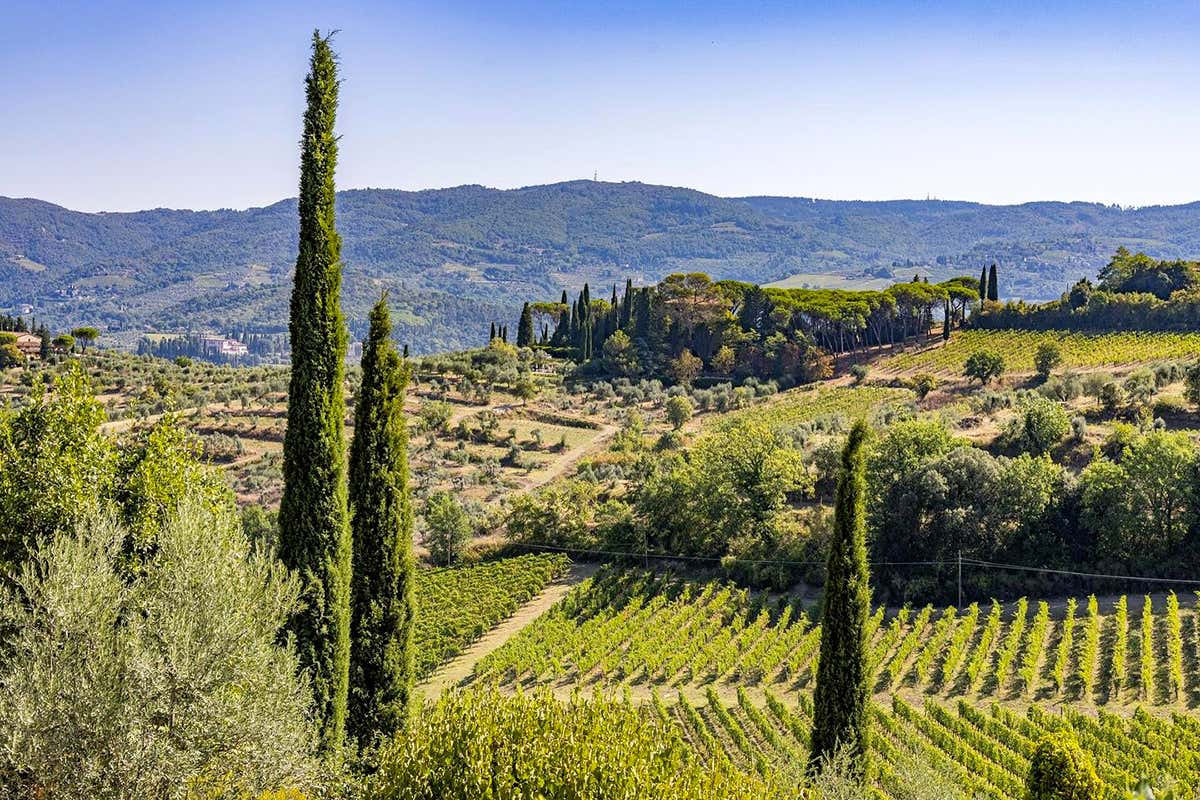 Dal Sangiovese al Nerello Mascalese: il progetto che unisce Poggibonsi e l’Etna Dal Sangiovese al Nerello Mascalese: il progetto che unisce Poggibonsi e l’Etna