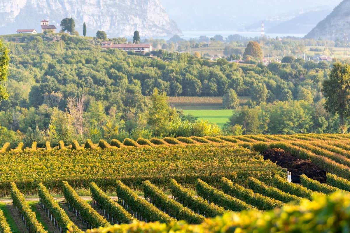 La zonazione 3.0 è un ulteriore elemento di racconto della Franciacorta