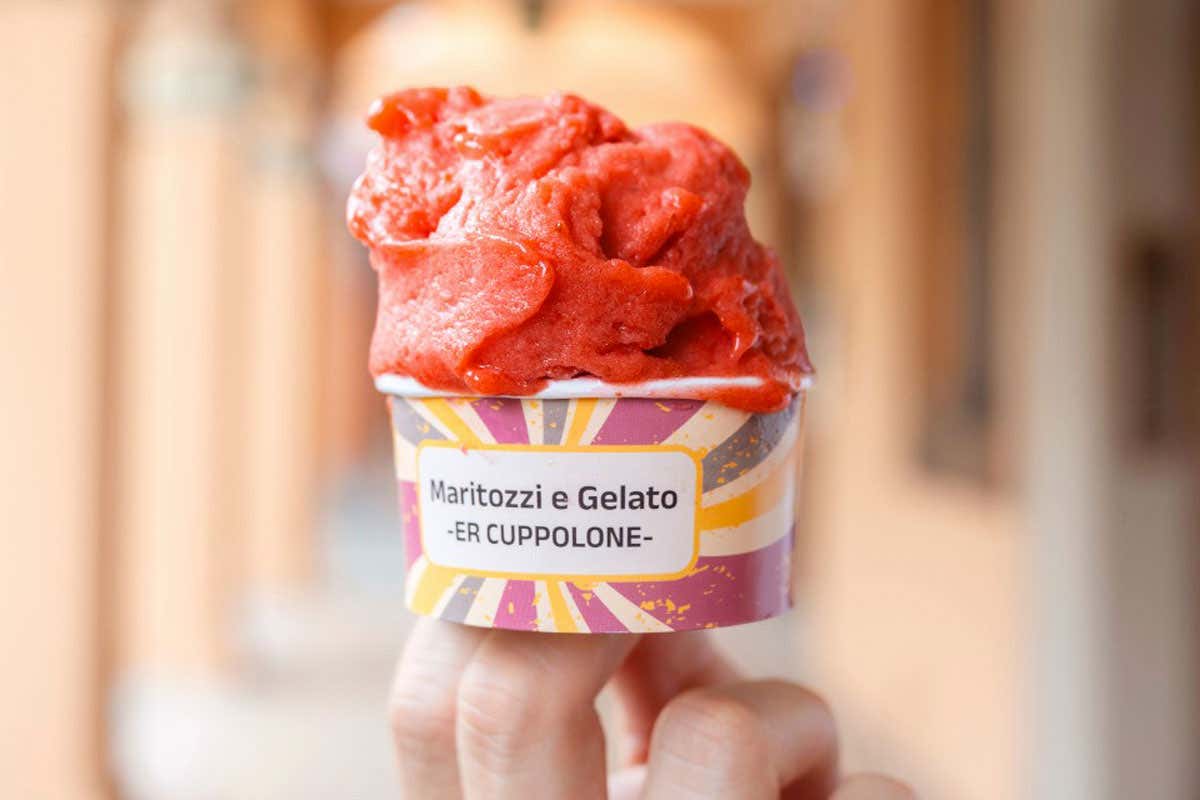 Gelato etico e maritozzi artigianali: ecco dove mangiarli a Bologna Gelato etico e maritozzi artigianali: ecco dove mangiarli a Bologna