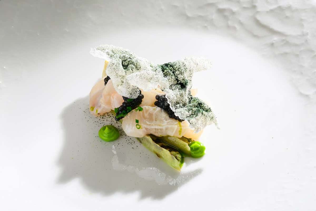 Harry's Piccolo Porec: Cesare Salad di mare