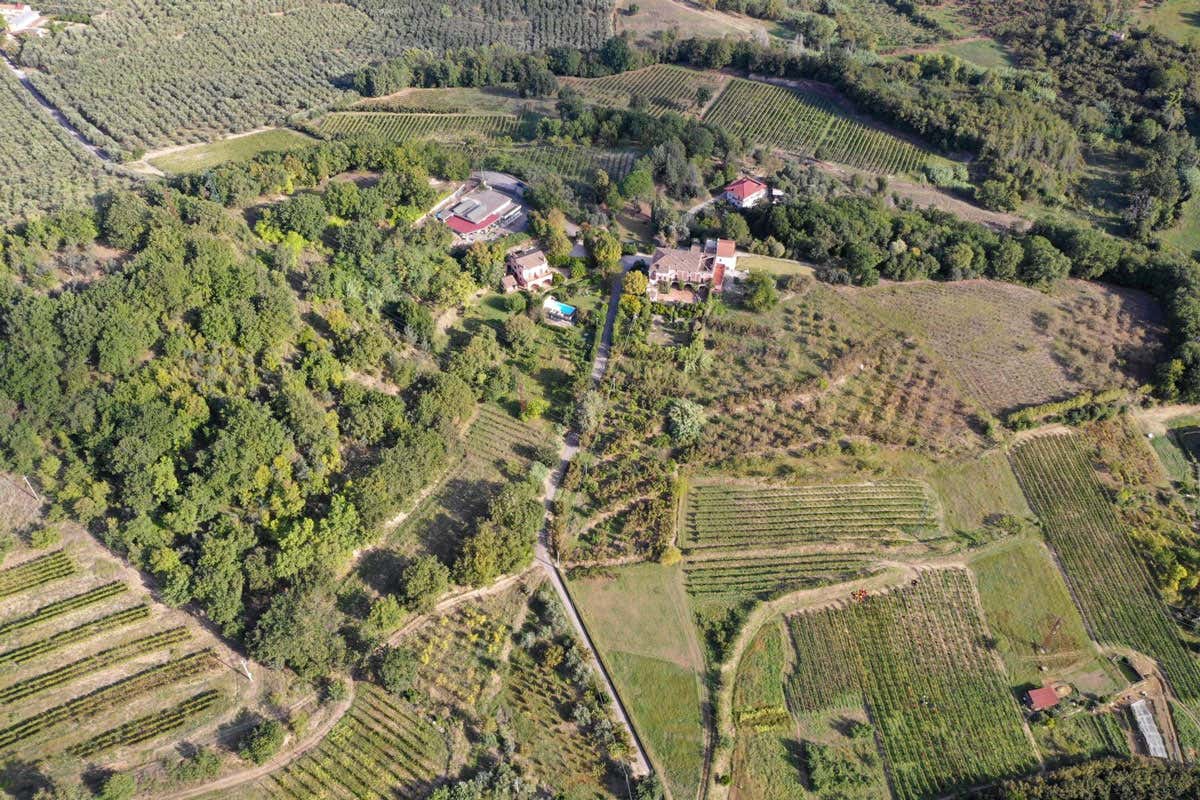 Da fotografa a regina del vino: chi è Silvia Imparato, la donna dietro il Montevetrano