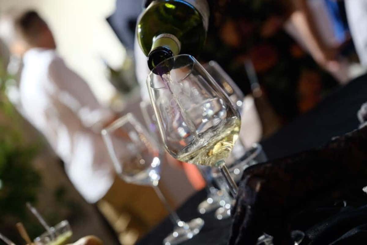 Soave: nel 2025 +3% di imbottigliato rispetto all’anno precedente Soave imbottigliato in crescita e giacenze in calo: i segnali dal 2025