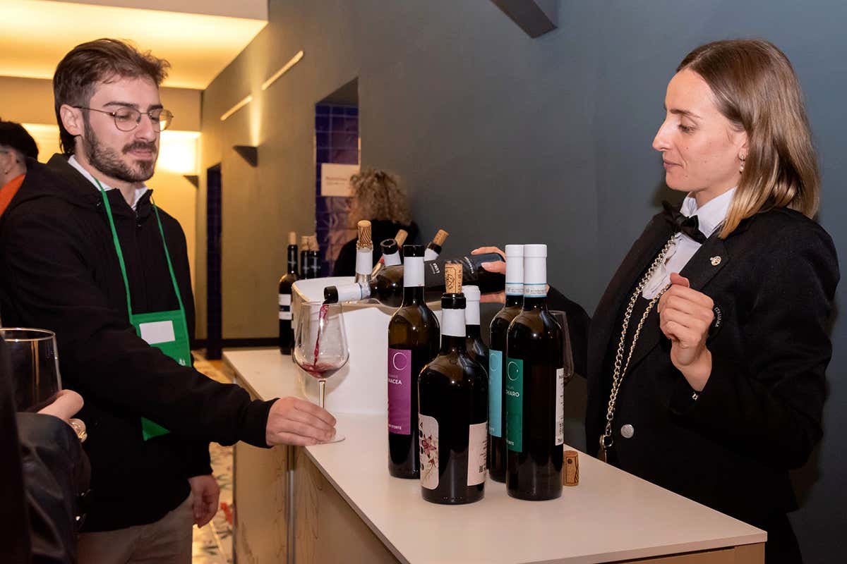 Degustazioni e incontri diretti con i produttori durante Sorsi diVino Sorsi diVino: degustazioni guidate e vini poco conosciuti da provare a Cava de’ Tirreni