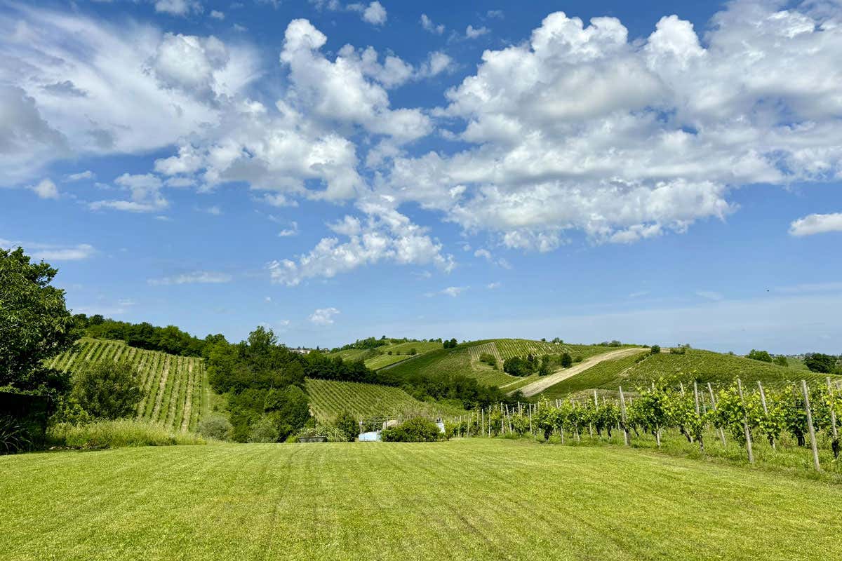 Non solo Lambrusco: l’Emilia si racconta con il vino, i sapori e il paesaggio Non solo Lambrusco: l’Emilia si racconta con il vino, i sapori e il paesaggio