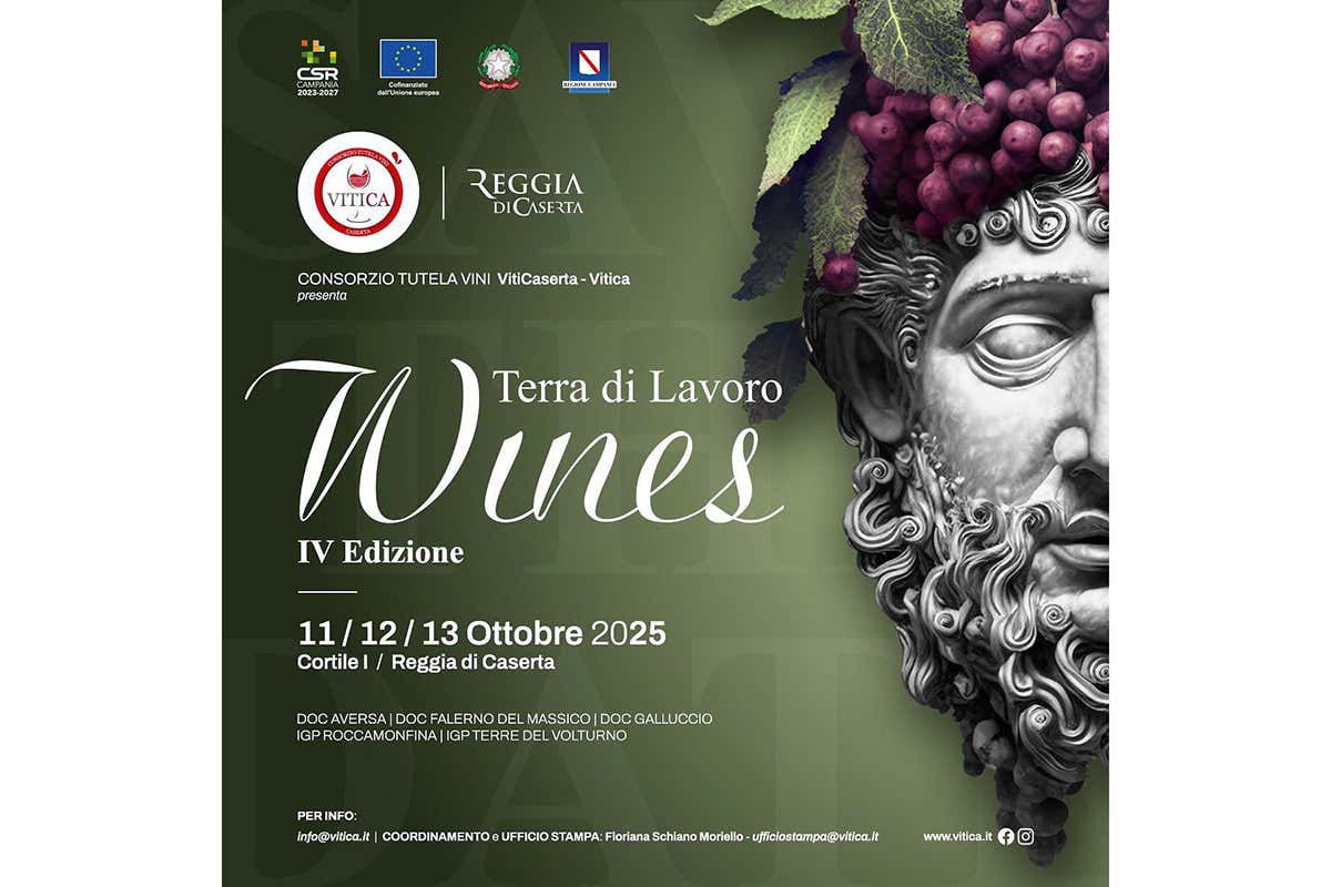 Tre giorni dedicati ai vini campani: Terra di Lavoro Wines cambia volto Tre giorni dedicati ai vini campani: Terra di Lavoro Wines cambia volto