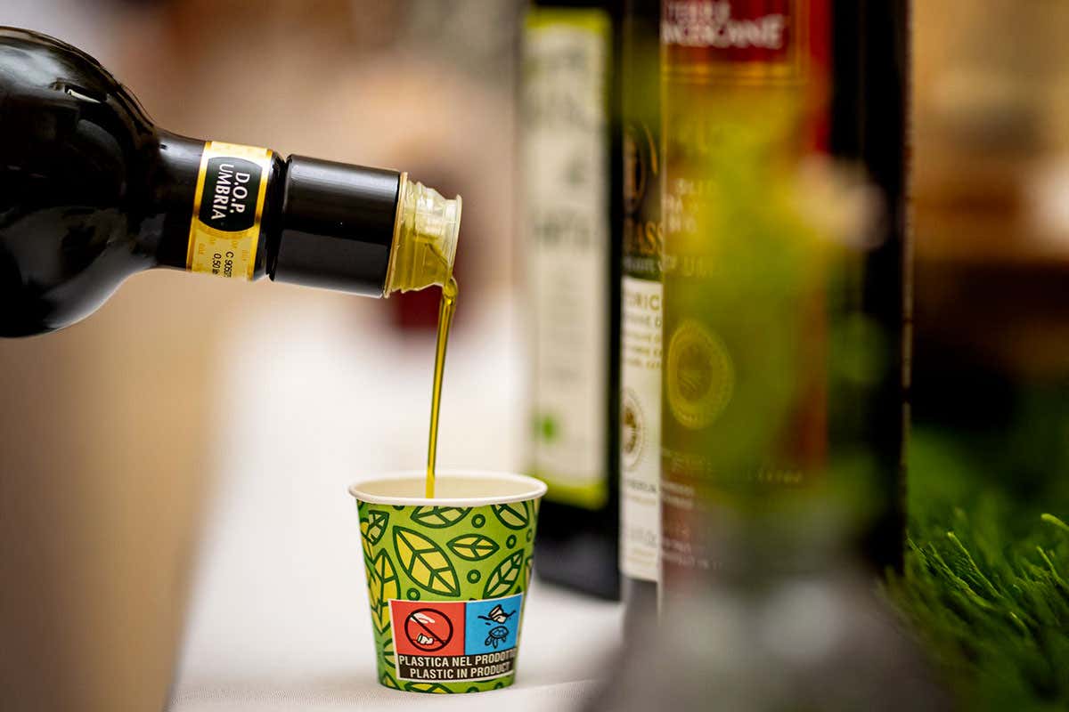 Umbria, terra dell’olio: i frantoi che resistono da secoli e innovano con il biologico