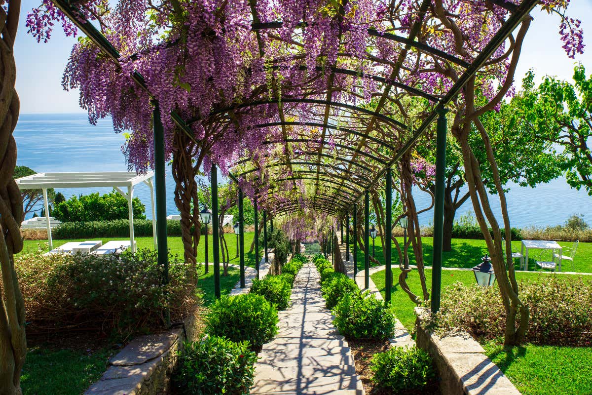 Villa Riviera Resort: gusto, eleganza e sapori liguri autentici Villa Riviera Resort: gusto, eleganza e sapori liguri autentici