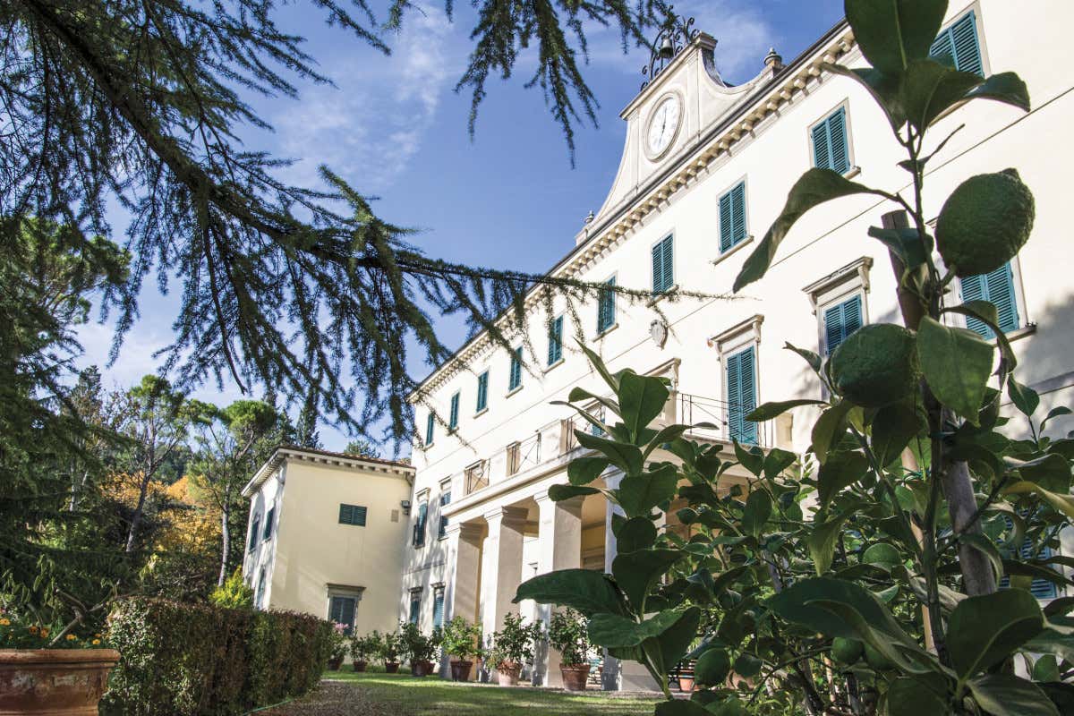 Vino e progetto artistico: ecco “Fedra” di Fattoria di Grignano