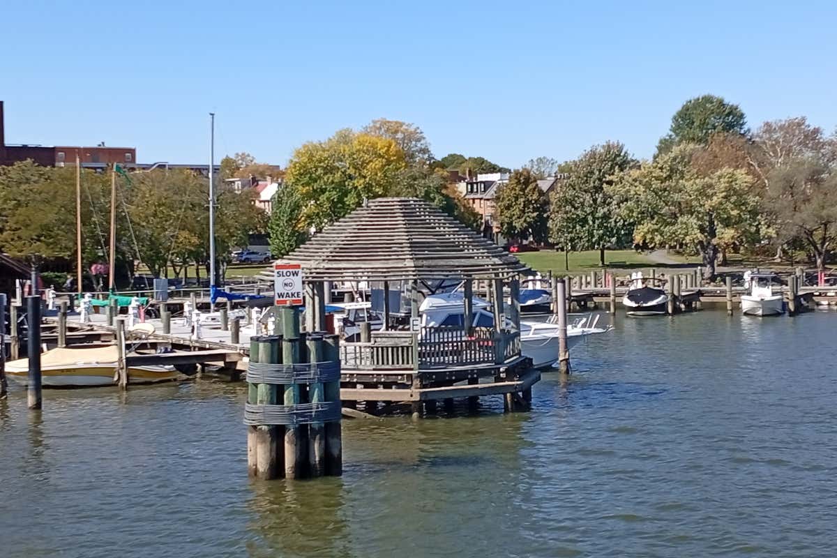 Design italiano, comfort americano: l’essenza dell’accoglienza in Virginia Design italiano, comfort americano: l’essenza dell’accoglienza in Virginia