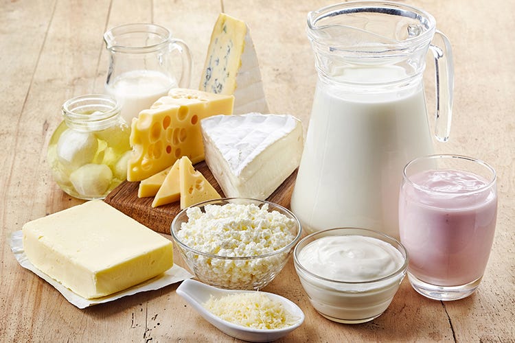 Prodotti caseari ricchi di probiotici - Fermenti lattici probiotici,i migliori per la salute dell'intestino