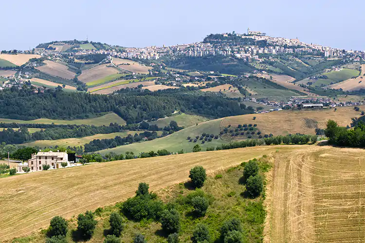 Arriva Tipicit&agrave; Phygital edition Tipicit&agrave; pronta ad aprirsi al mondo Le Marche disegnano il futuro