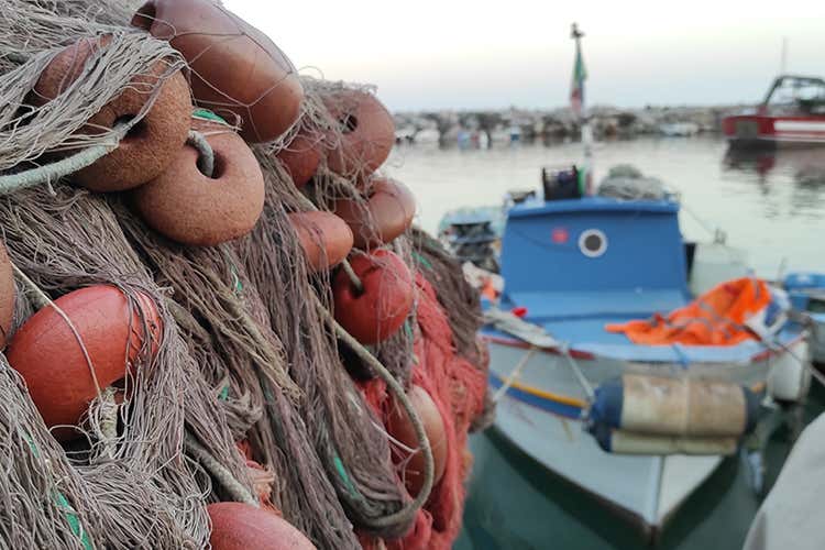 Scatta il fermo pesca - Scatta il fermo pesca Ipotesi carta del pesce nei menu