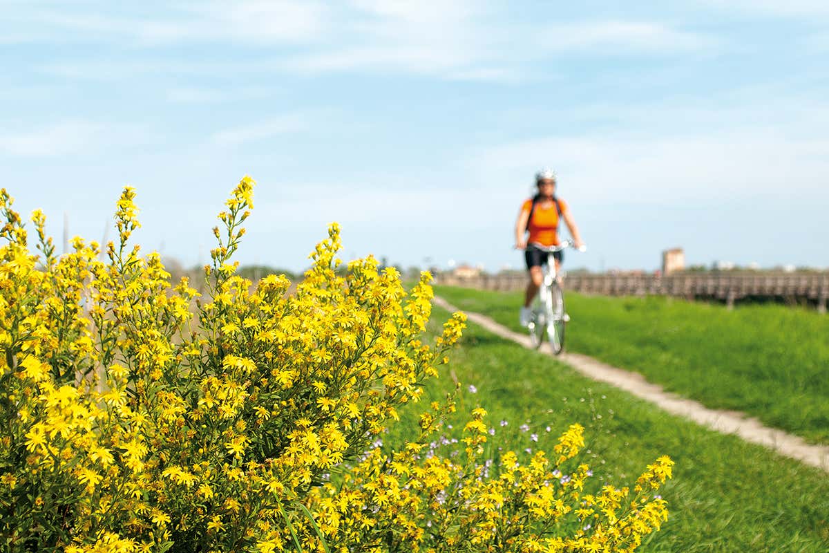 Campagne tra le Delizie, foto di Luca Beretta, credit Visit Ferrara A Ferrara, la citt&agrave; delle biciclette: ogni weekend un viaggio diverso