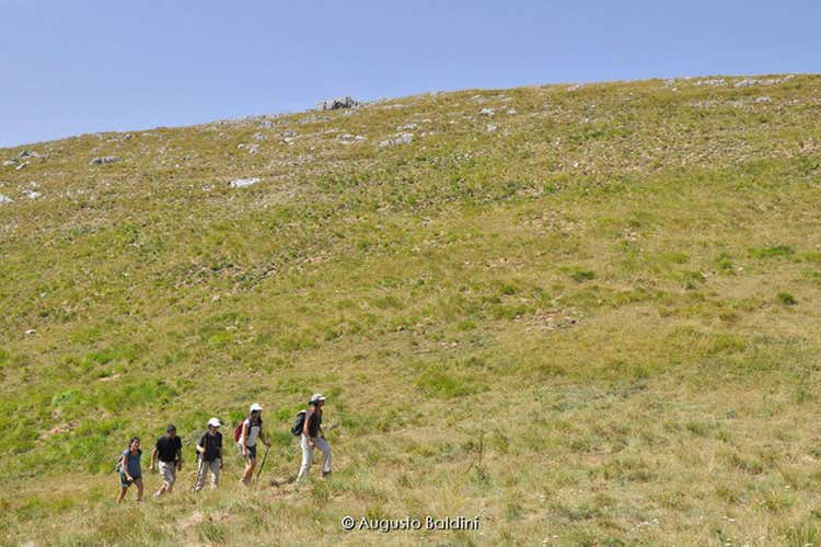 La Festa del camminare Così si accoglie la primavera La Festa del camminare Così si accoglie la primavera