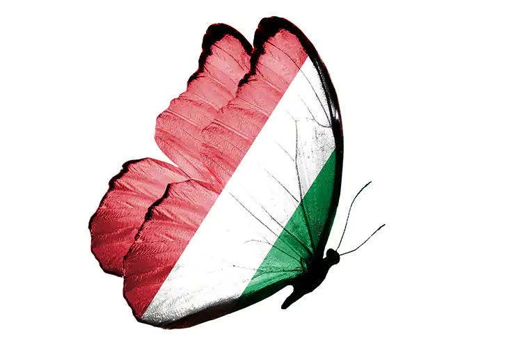 Il 25 aprile di oggi &egrave; l&rsquo;occasione per riflettere sullo stato di salute della nostra democrazia Festa della Liberazione 2021&nbsp; per riflettere sulla democrazia