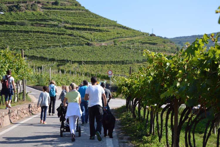 La marcia dell'uva (Festa dell&rsquo;Uva in Val di Cembra Una tradizione lunga 62 anni)