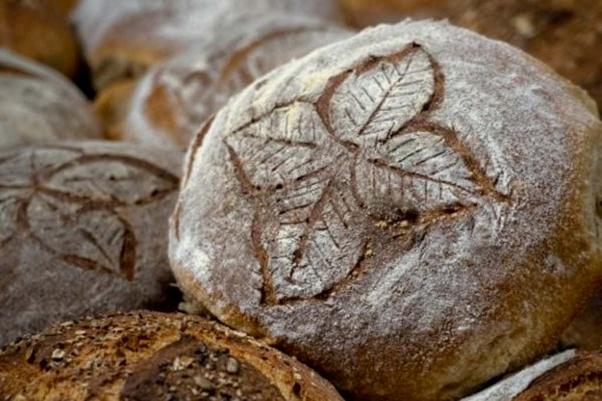 Il Pane delle Alpi: cereali di montagna e antiche ricette tornano protagonisti tra gusto e cultura