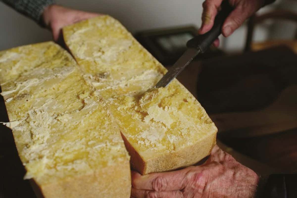 Gesti antichi e sapienza casearia raccontano l’identità delle terre alte.