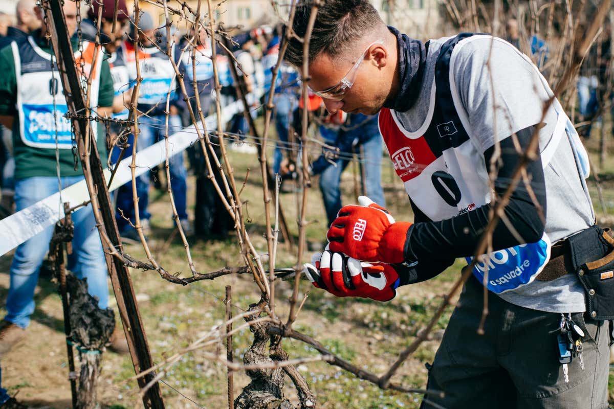 All'Agricola San Felice di Castelnuovo Berardenga il 2&deg; Festival del Potatore