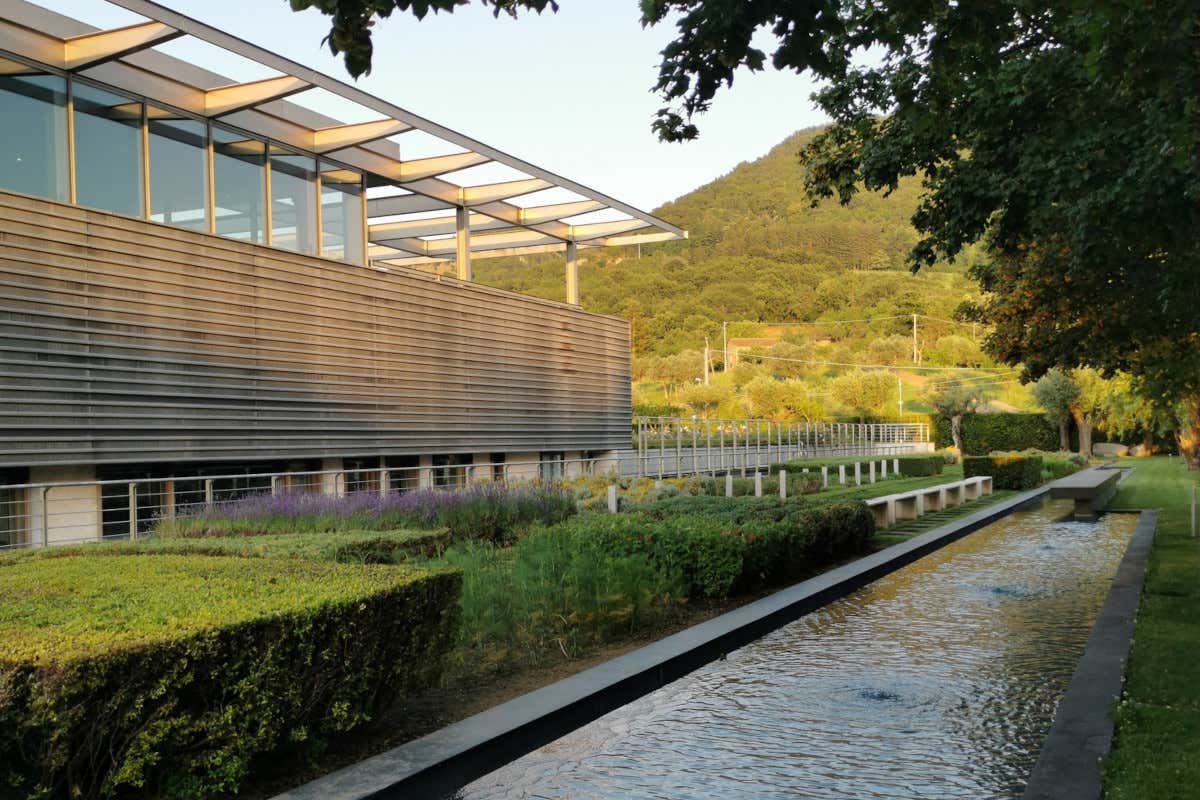 Dall'Irpinia al mondo: la filosofia creativa e i grandi vini di Feudi di San Gregorio Dall'Irpinia al mondo: la filosofia creativa e i grandi vini di Feudi di San Gregorio