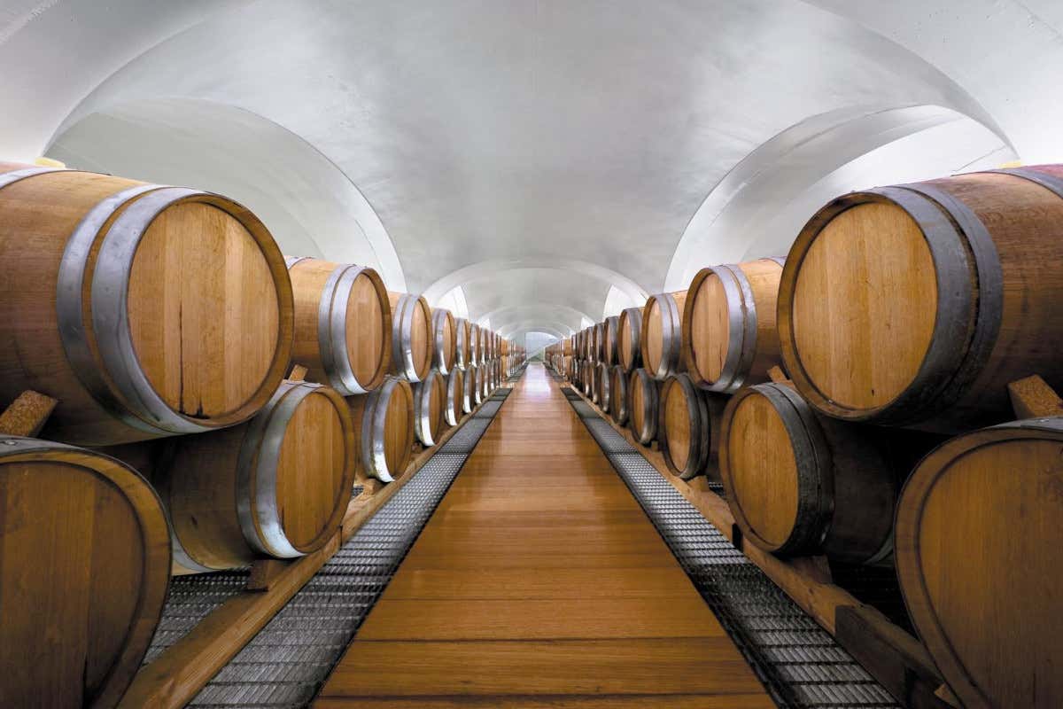 Dall'Irpinia al mondo: la filosofia creativa e i grandi vini di Feudi di San Gregorio Dall'Irpinia al mondo: la filosofia creativa e i grandi vini di Feudi di San Gregorio