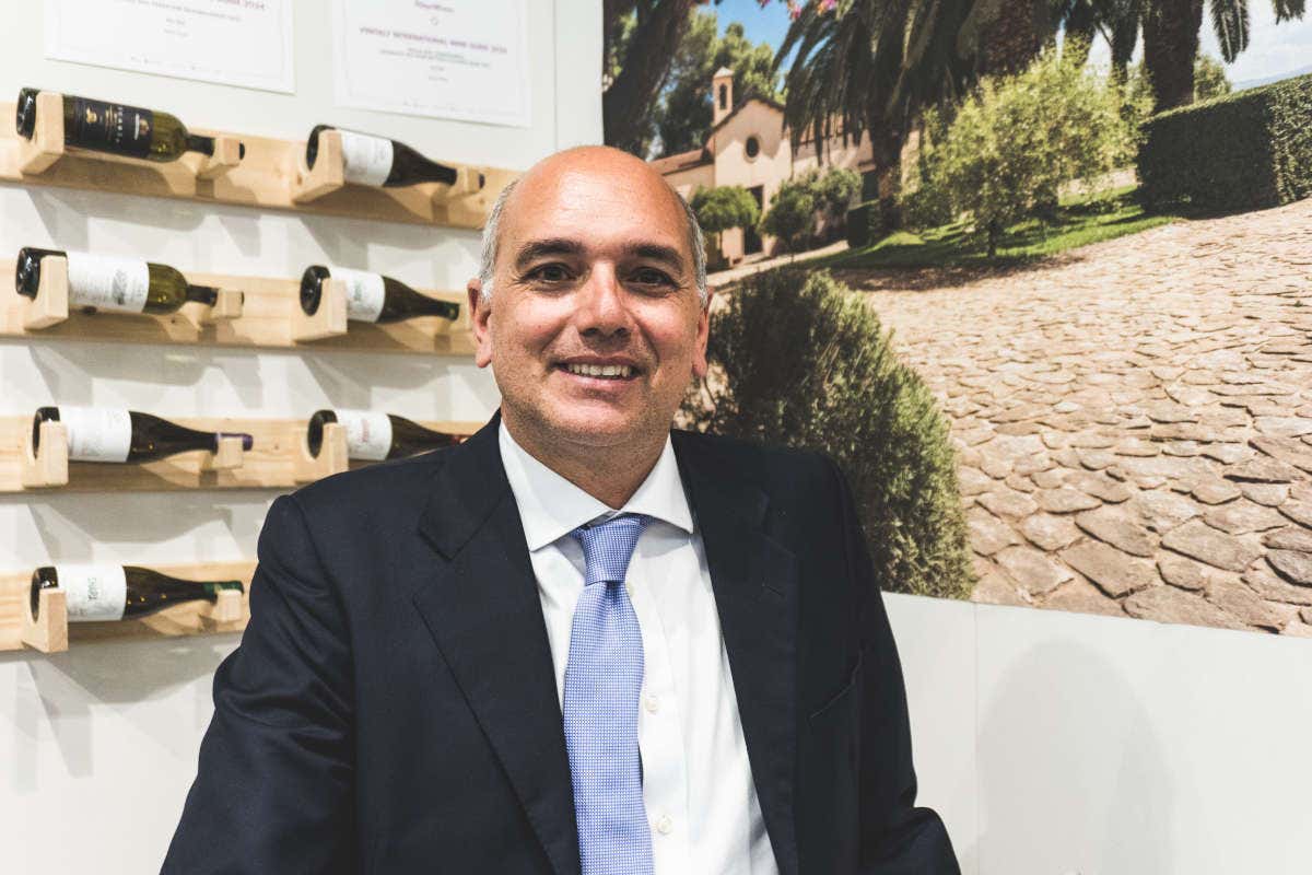 La Sicilia del vino e dell'olio tra unicità, biodiversità e sostenibilità