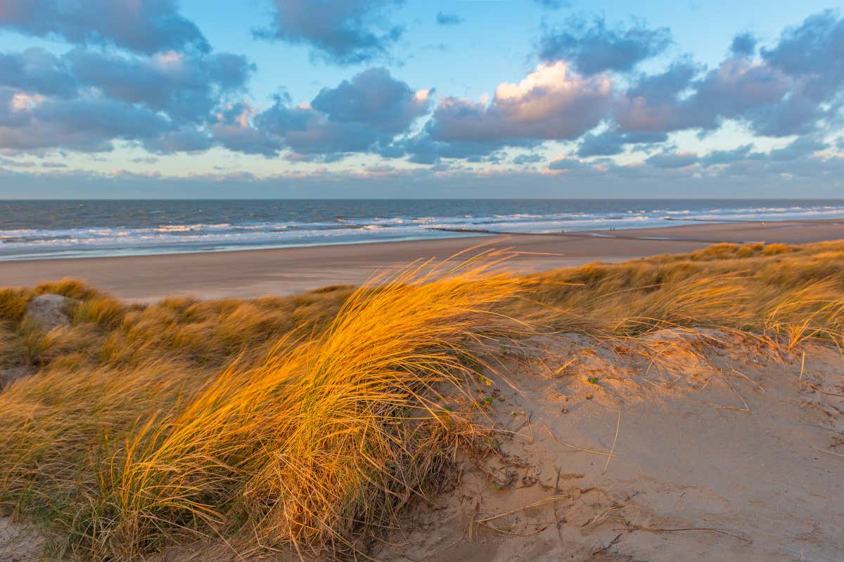 Viaggio nelle Fiandre, tra luoghi iconici e sconosciuti all'insegna dell'arte e della birra