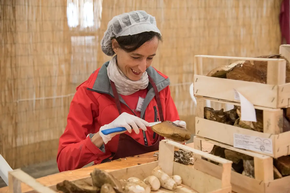 Fiera del Fungo Porcino (foto Francesca Bocchia) Nuove frontiere del gusto in Alta Valtaro, una valle... buonissima