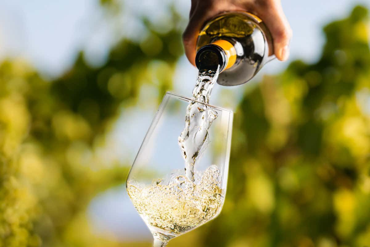 Vino, spirits e aceti: la Vino, spirits e aceti: la