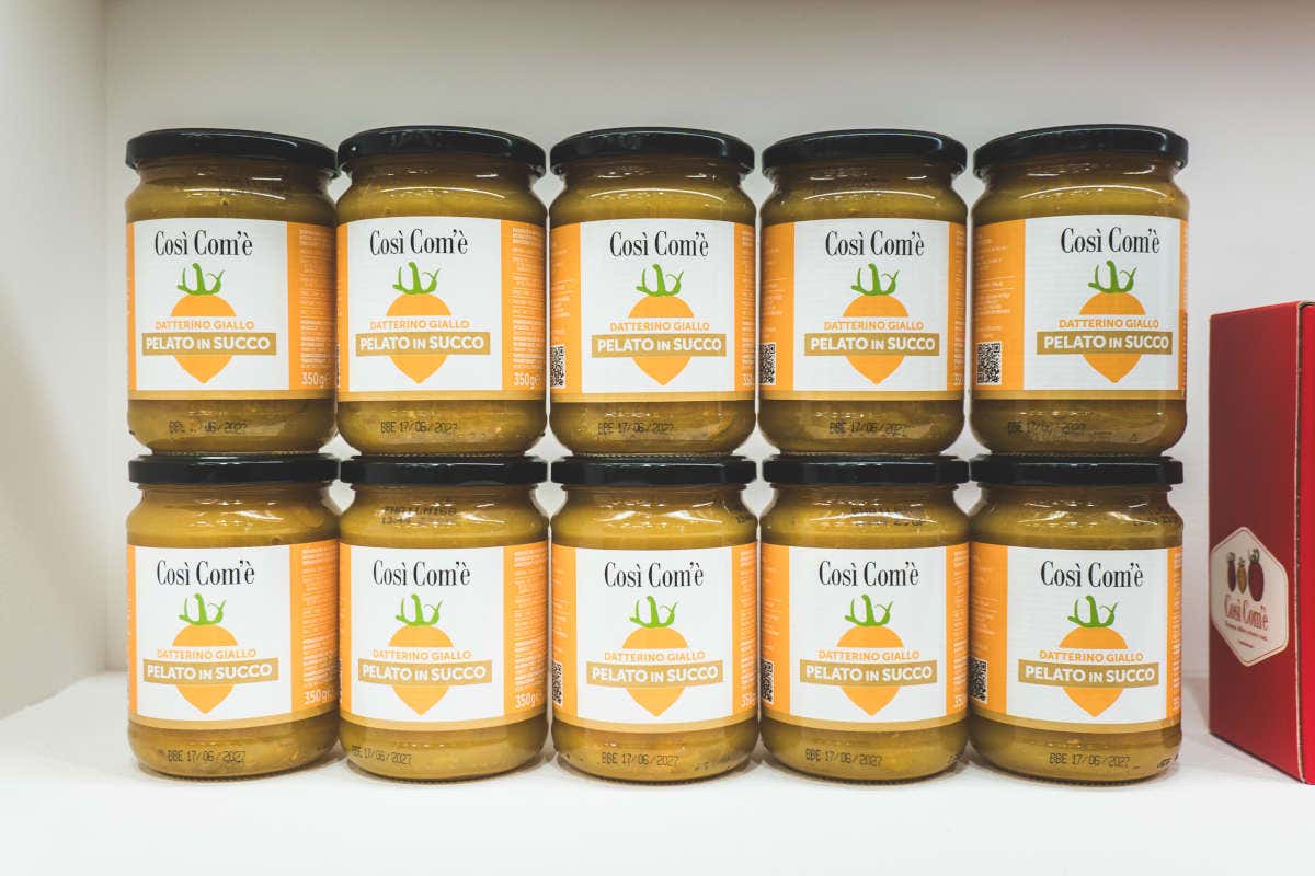 Finagricola: filiera controllata per i datterini, dal seme al consumatore