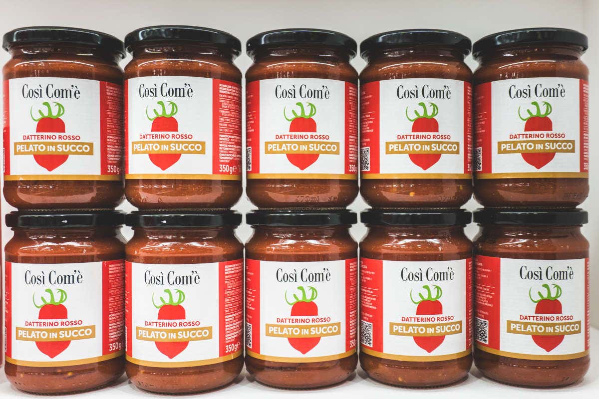 Finagricola: filiera controllata per i datterini, dal seme al consumatore