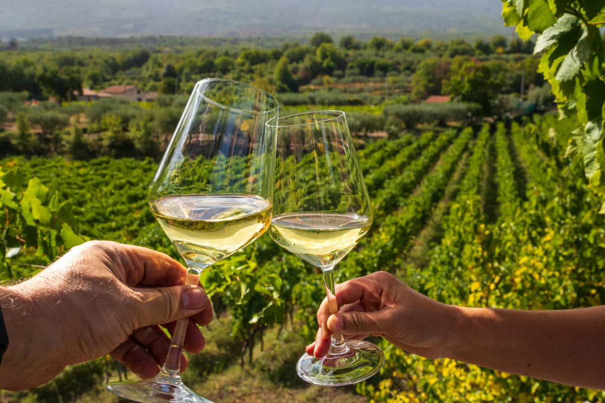 Enoturismo, a Riva del Garda torna Fine #WineTourism con buyer da tutta Europa Enoturismo, a Riva del Garda torna Fine #WineTourism con buyer da tutta Europa