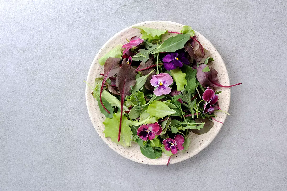 I fiori eduli conquistano l’alta cucina, ecco perché non è solo estetica