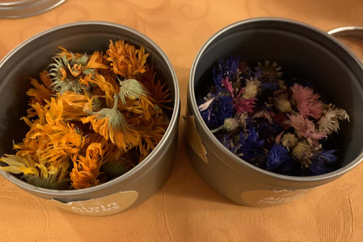 Fiori essiccati Alpin Herbs Longino