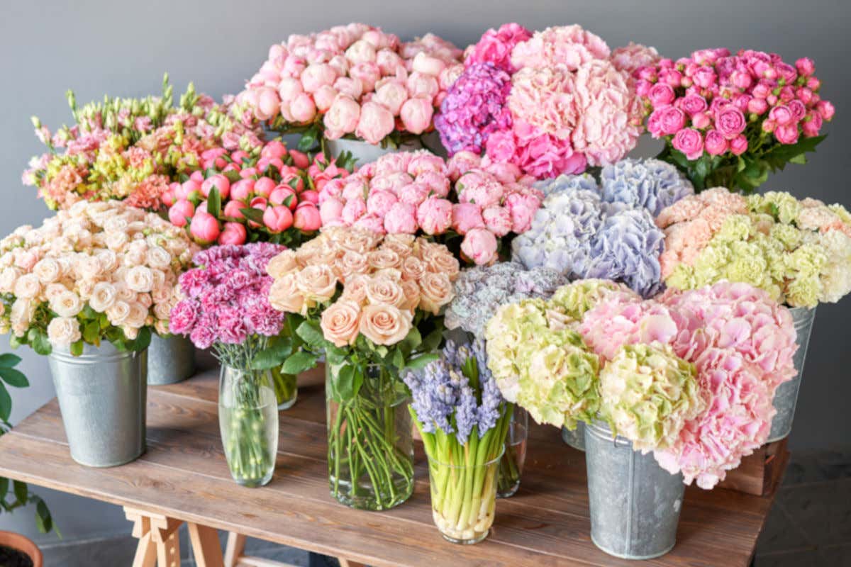 Florovivaismo made in Italy: import  35% il settore vale 25 miliardi di euro