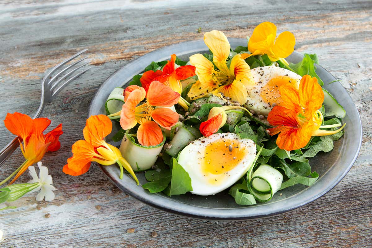 Fiori eduli, perché fanno bene alla salute e stanno conquistando sempre più persone Fiori eduli, perché fanno bene alla salute e stanno conquistando sempre più persone