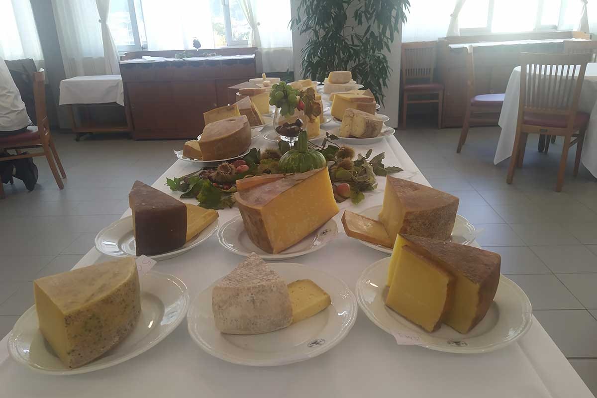 Una tavolata dei formaggi selezionati dalla giuria Slow Food Valle Camonica patria dell'arte casearia. Ecco i premi del concorso