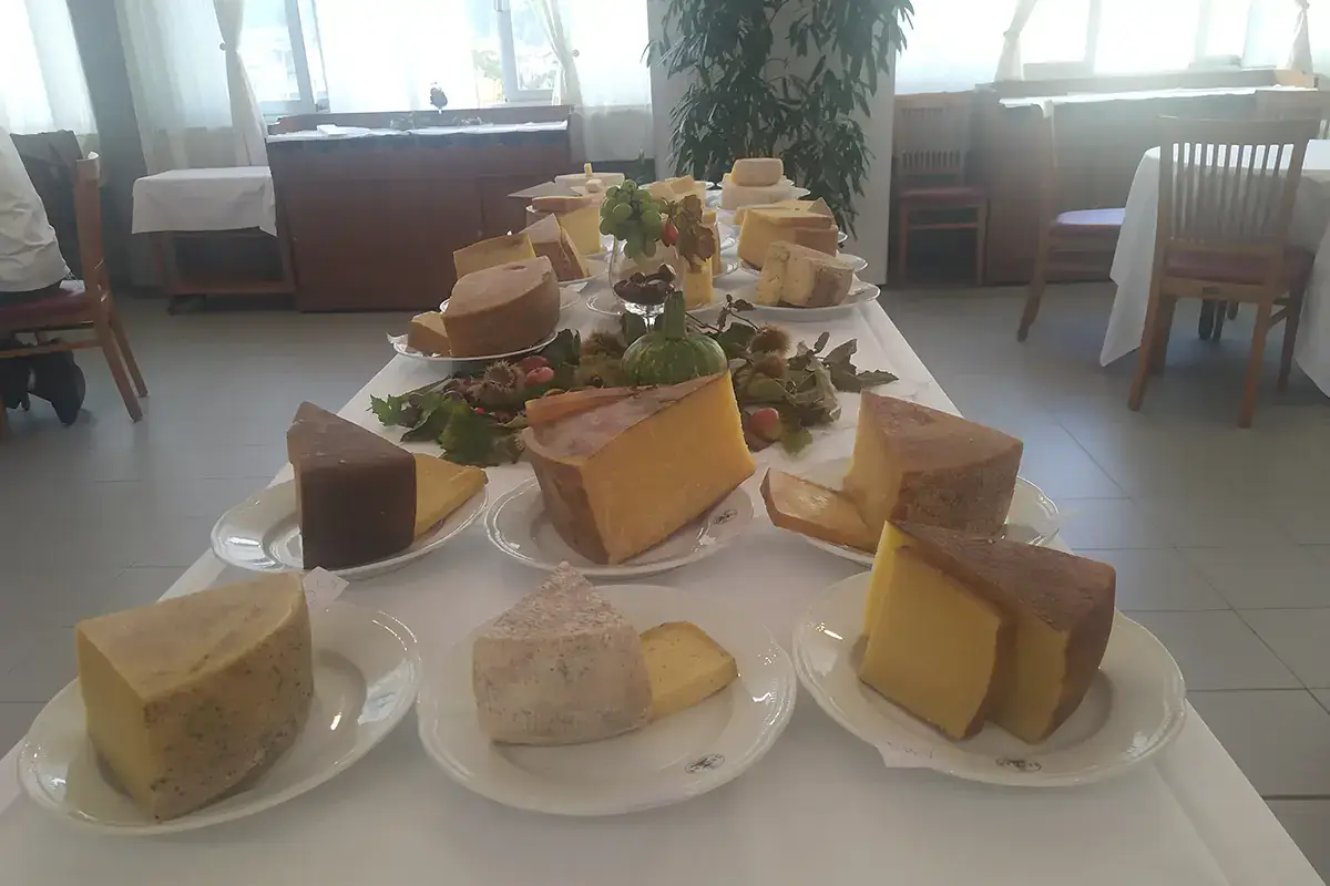 Una tavolata dei formaggi selezionati dalla giuria Slow Food Valle Camonica patria dell'arte casearia. Ecco i premi del concorso