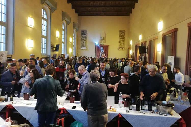 Primi assaggi all'Universit&agrave; di Pavia (Oltrep&ograve;, ecco la delegazione Fivi Esordio con 35 cantine associate)