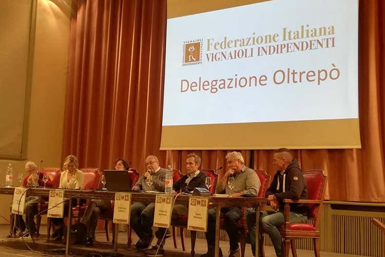 La presentazione della delegazione (Oltrepò, ecco la delegazione Fivi Esordio con 35 cantine associate) La presentazione della delegazione (Oltrepò, ecco la delegazione Fivi Esordio con 35 cantine associate)