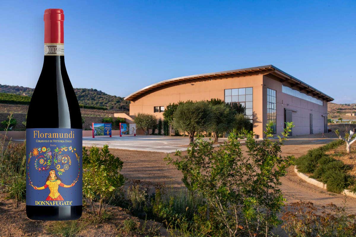 L'anima del territorio siciliano nei vini di Donnafugata L'anima del territorio siciliano nei vini di Donnafugata